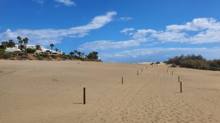 2023-GC--Mapalomas dunas-S123-033.jpg